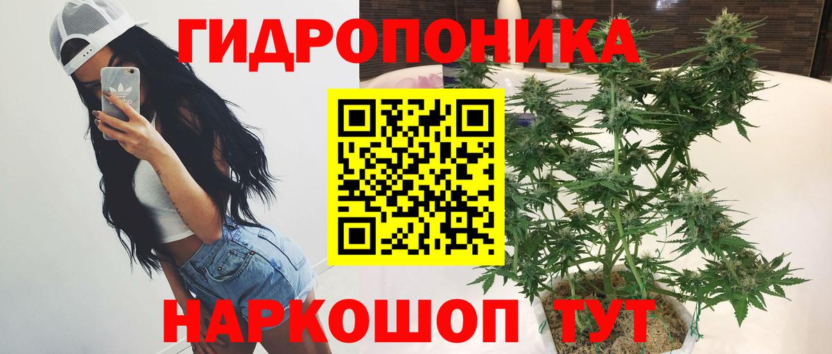 МАРИХУАНА Ganja  Бошки Шишки планчик  Бошки Шишки конопля  Сорочинск  Вход с VPN  Конопля планчик 